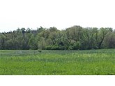 property listing