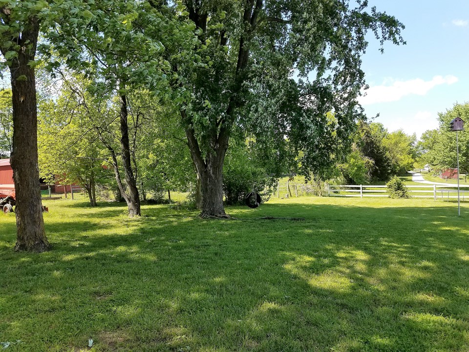 large level yard.