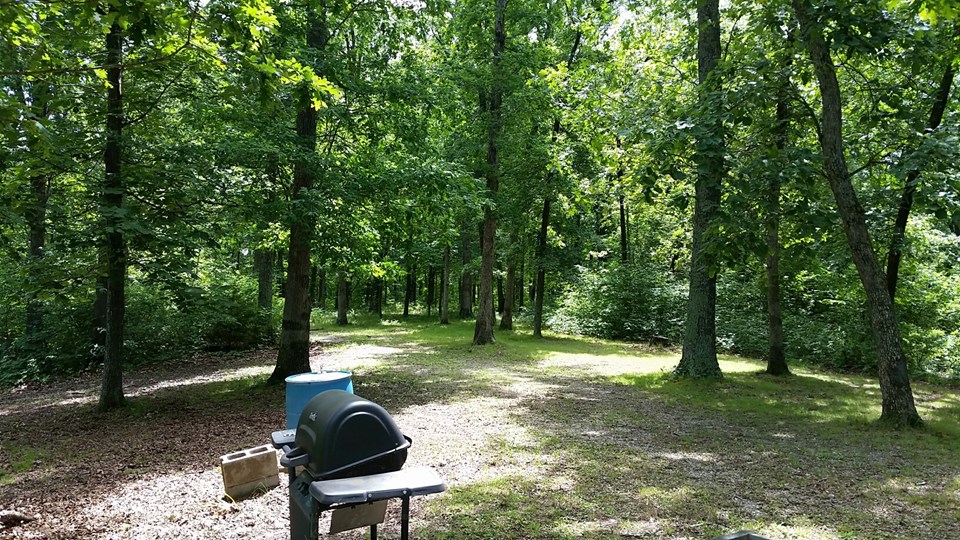 another view of deer camp.
