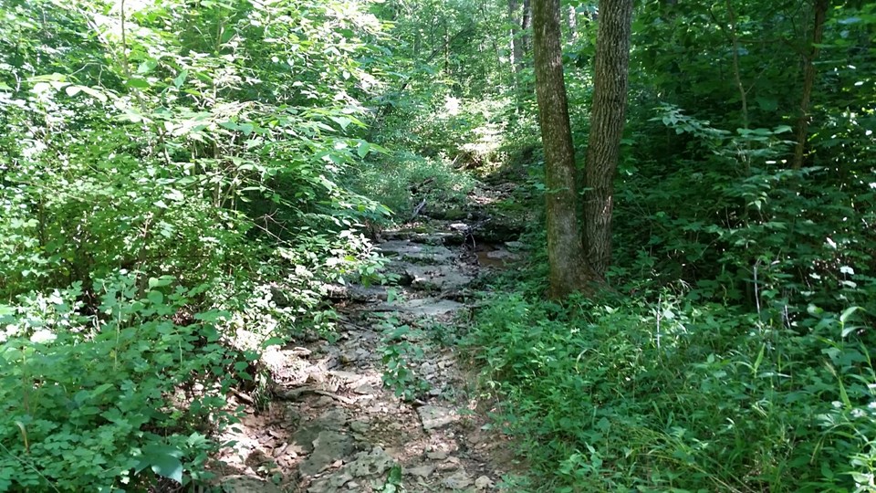 creek bed.