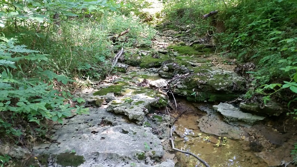 creek bed.
