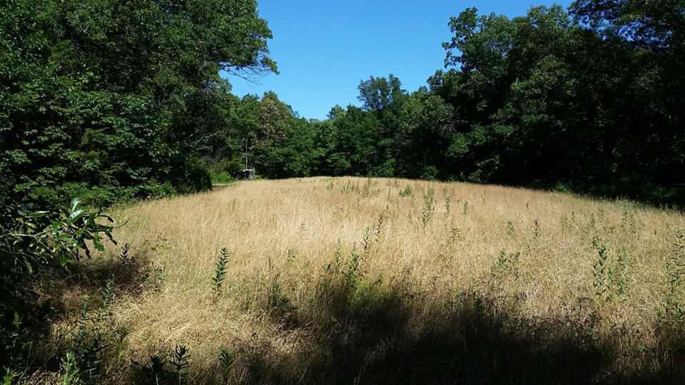 food plot surrounded by 20 +/- acres of woods.