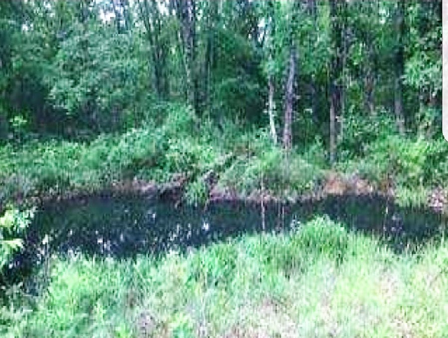 small pond.