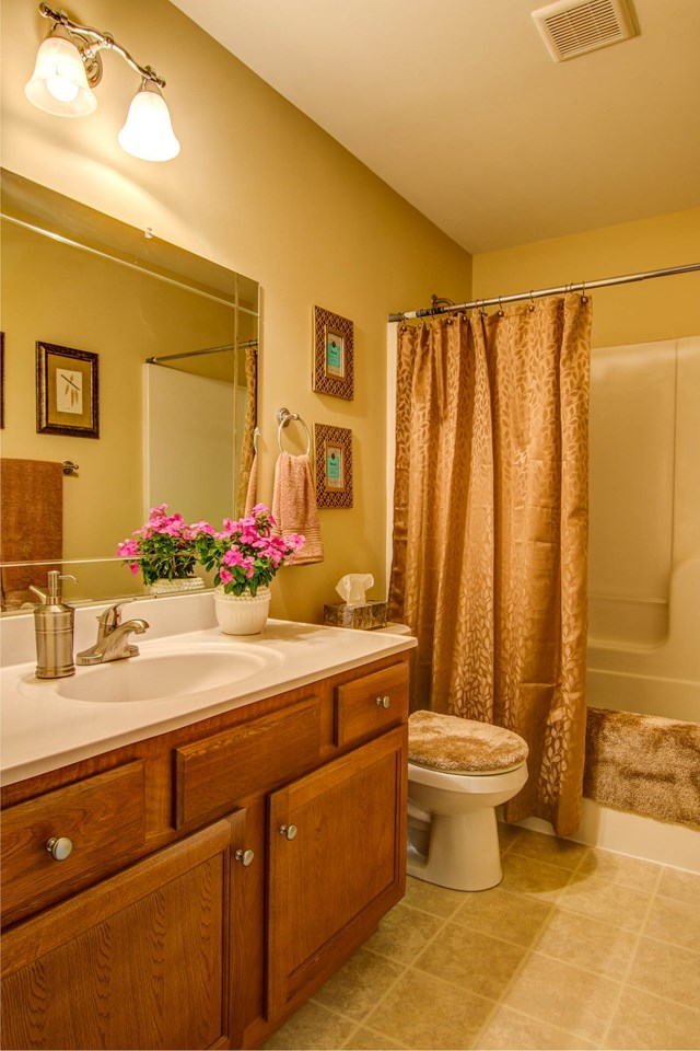 hall bathroom.