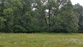property listing