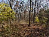 property listing