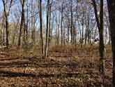 property listing
