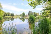 property listing