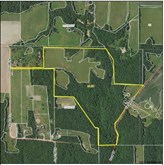 property listing