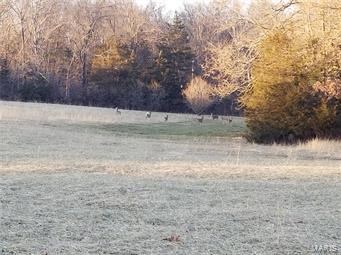 loaded with deer!